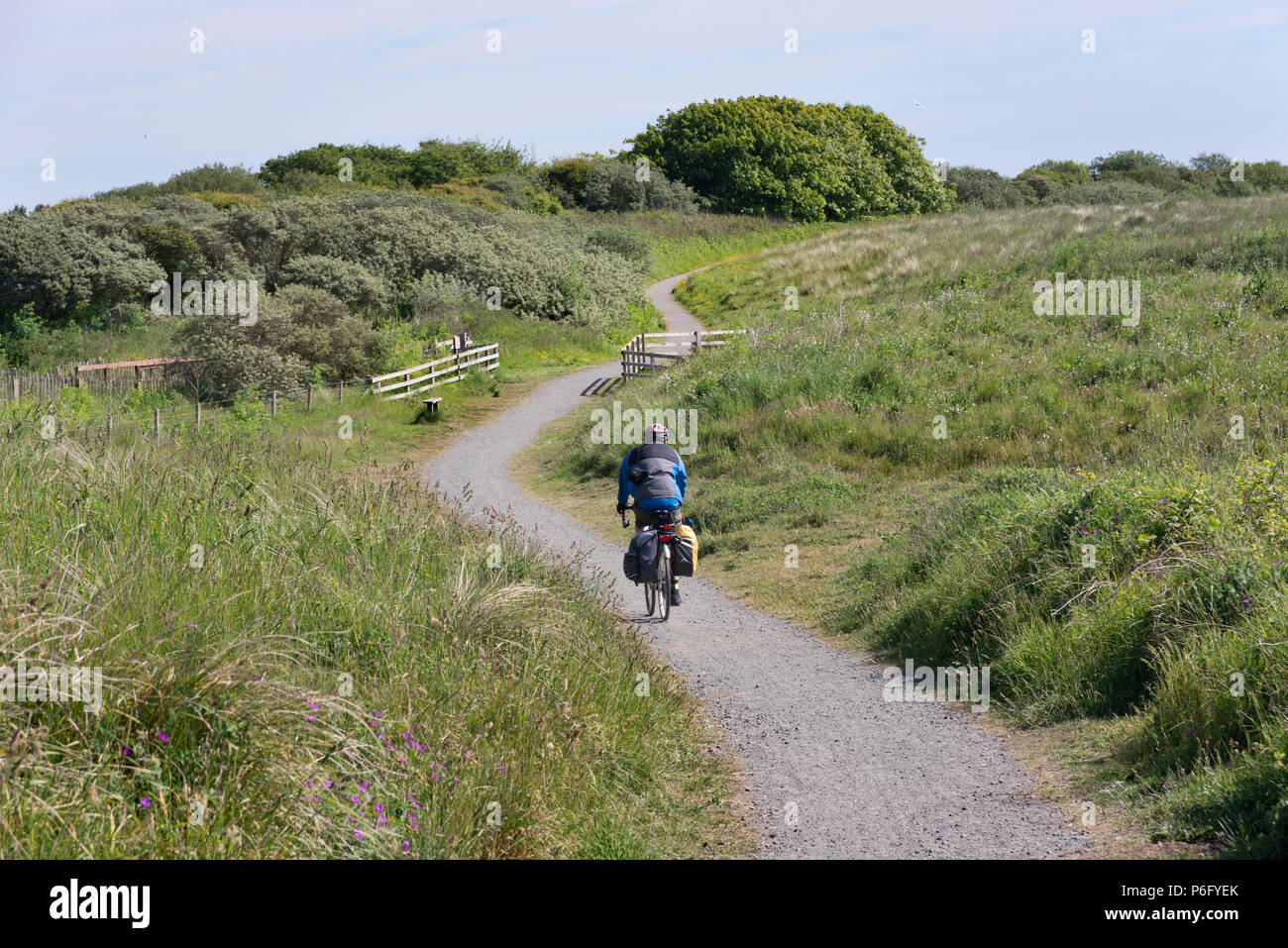 Un ciclista su un tratto costiero del ciclo SUSTRANS route 1 (anche l'Inghilterra Coast Path) a Druridge Bay, Northumberland Foto Stock