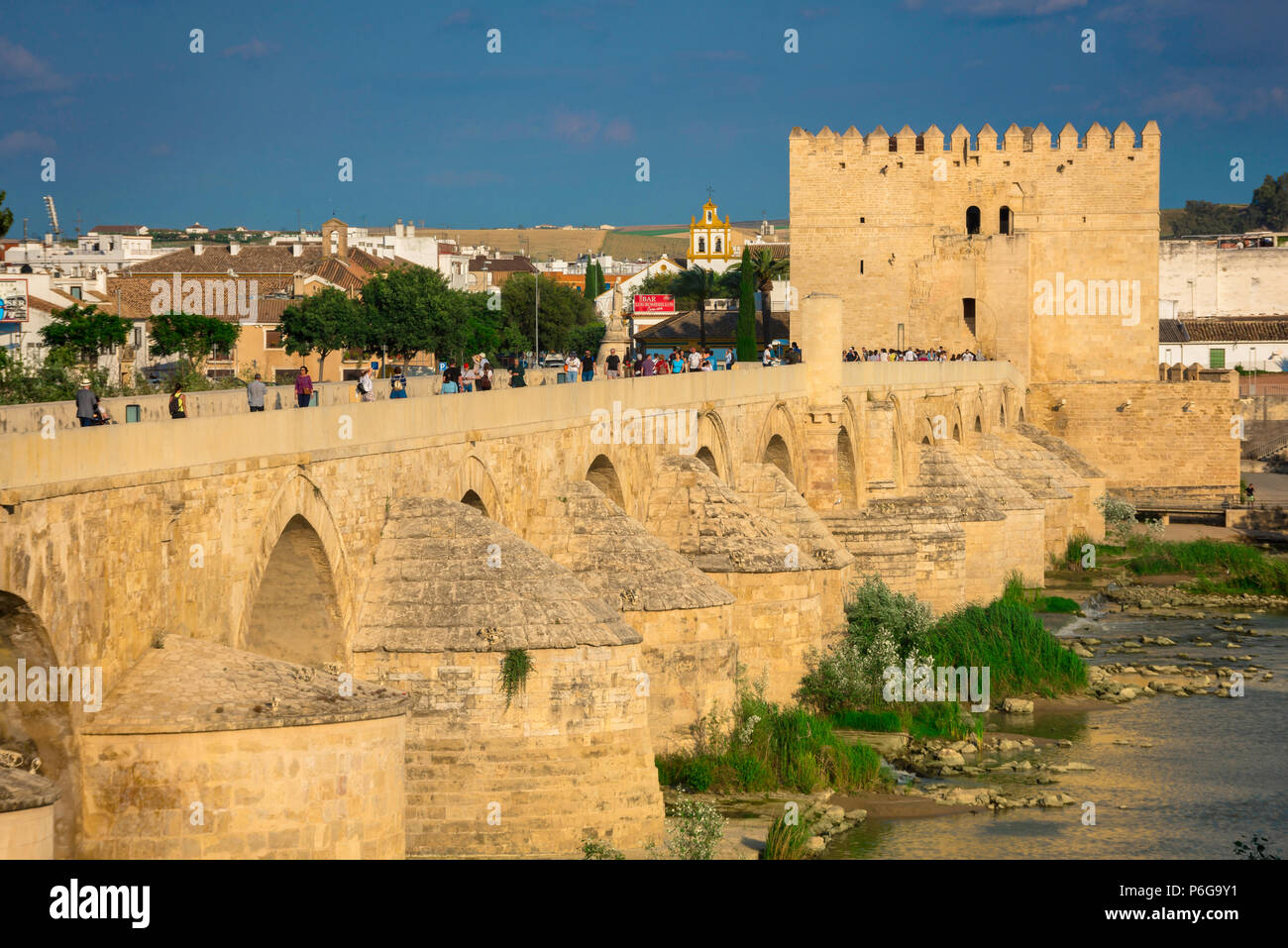 Ponte di Cordoba Andalucia, la vista del ponte romano e, in corrispondenza della sua estremità orientale, la medievale Torre de la Calahorra in Cordoba (Cordoba), Andalusia, Spagna. Foto Stock