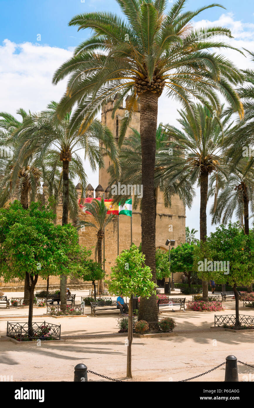 Cordoba Alcazar, vista dalla Calle Caballerizas Reales attraverso il palm alberata Plaza di fronte all'Alcazar de los Reyes Cristianos, Cordoba. Foto Stock