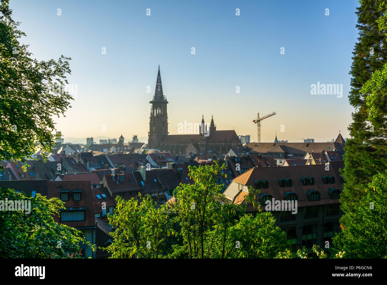 Germania, sopra i tetti di Freiburg im Breisgau Foto Stock