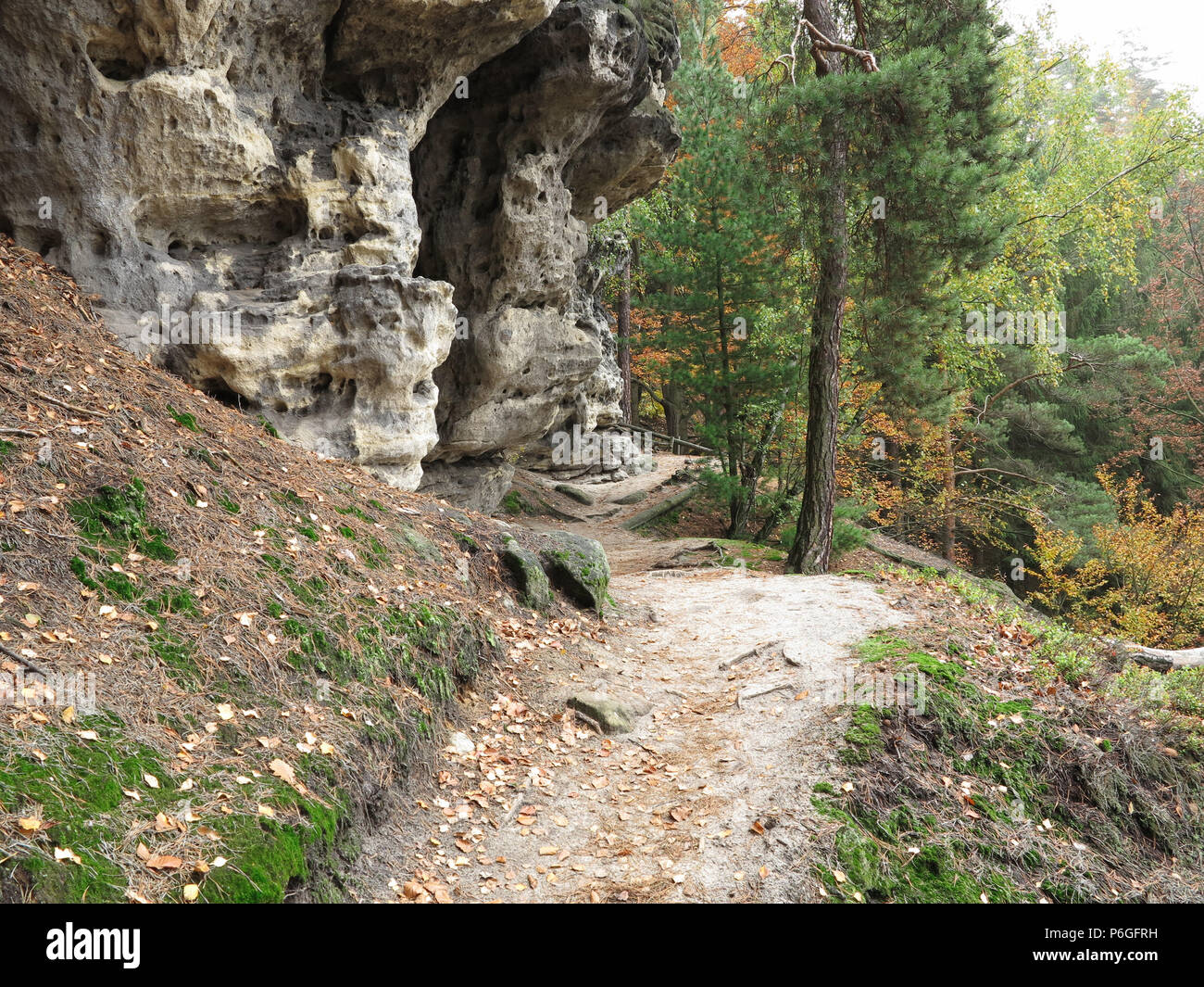 Percorso di foresta in autunno la foresta, della Svizzera boema, Repubblica Ceca Foto Stock
