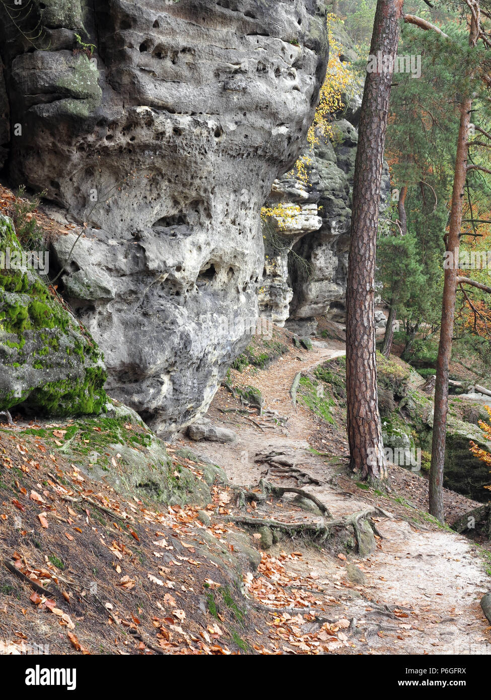 Il sentiero nel bosco in autunno, della Svizzera boema, Repubblica Ceca Foto Stock