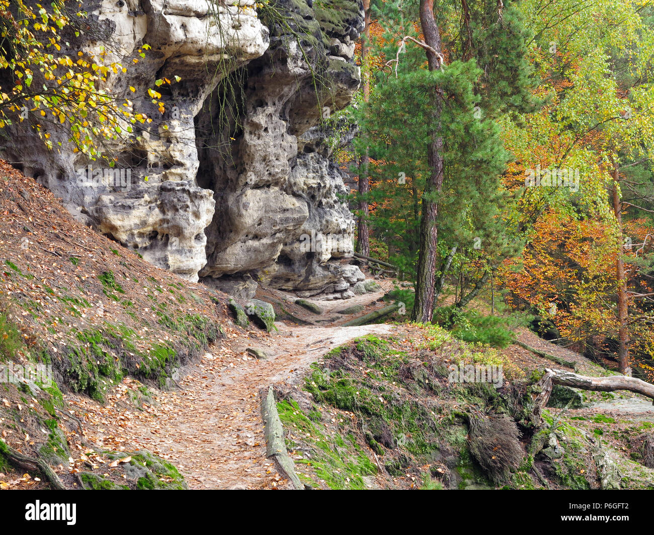 Il sentiero nel bosco in autunno, della Svizzera boema, Repubblica Ceca Foto Stock