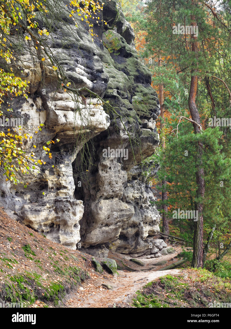 Il sentiero nel bosco in autunno, della Svizzera boema, Repubblica Ceca Foto Stock