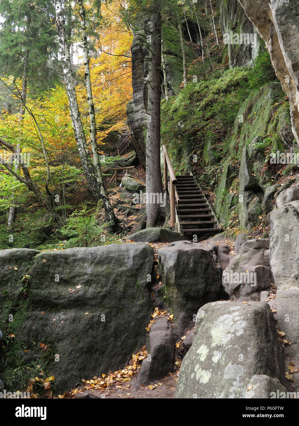 Il sentiero nel bosco in autunno, della Svizzera boema, Repubblica Ceca Foto Stock