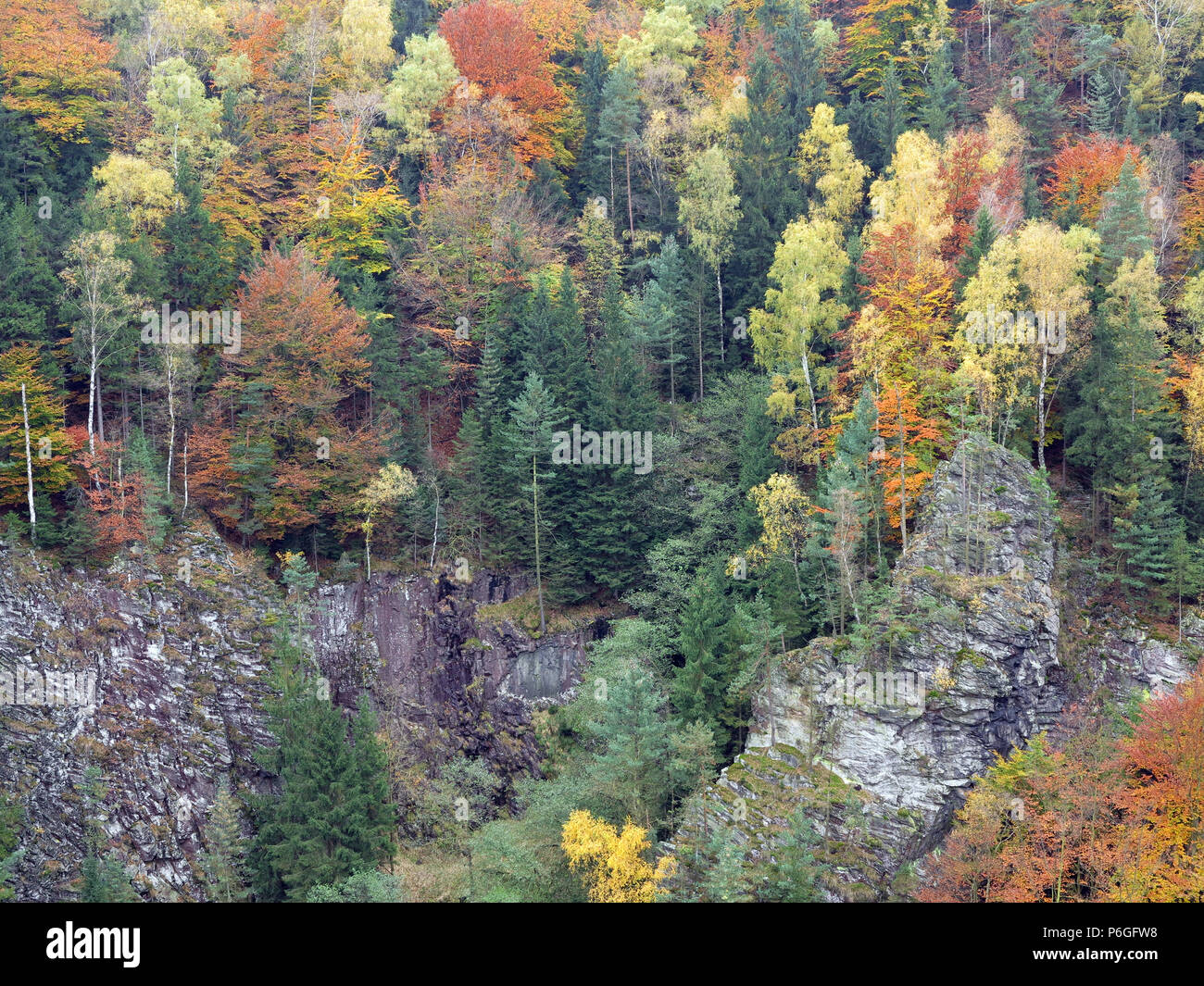 Rocce in autunno la foresta, della Svizzera boema, Repubblica Ceca Foto Stock