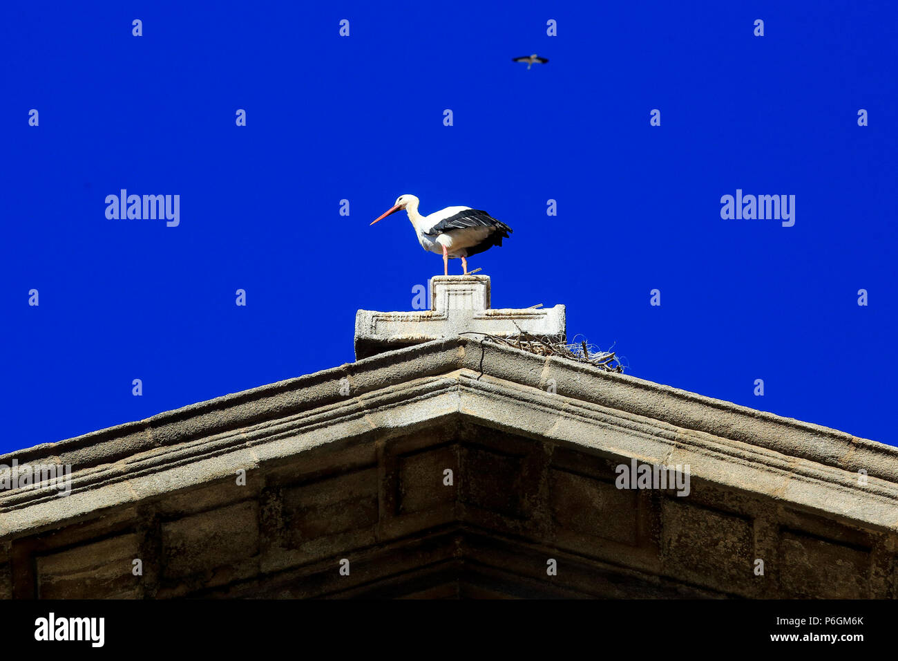 Una cicogna bianca nel suo nido sul tetto della Parroquia Santa Maria la Mayor attico nel centro di Alcala de Henares, una storica e affascinante città vicino a Foto Stock