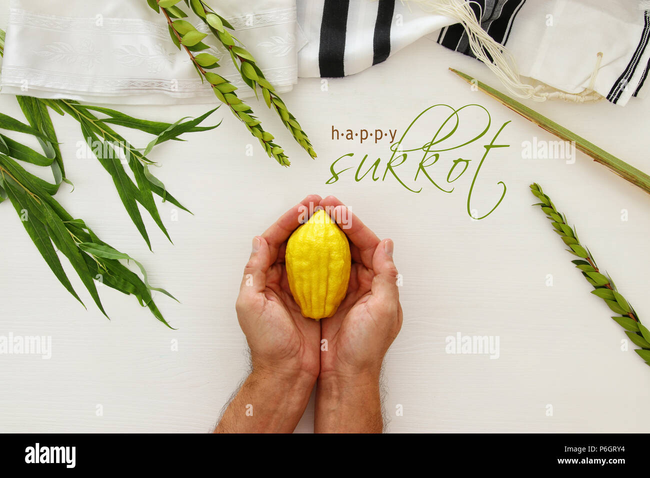 Festa ebraica di Sukkot. Simboli tradizionali (le quattro specie): Etrog, lulav, hadas, arava Foto Stock