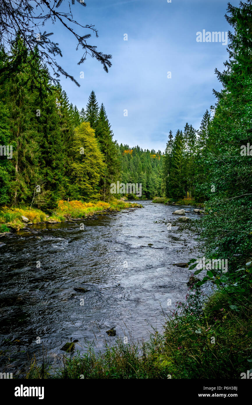Fiume con pietre in acqua e la riflessione sul Creek e le nuvole del cielo nella foresta bavarese Foto Stock