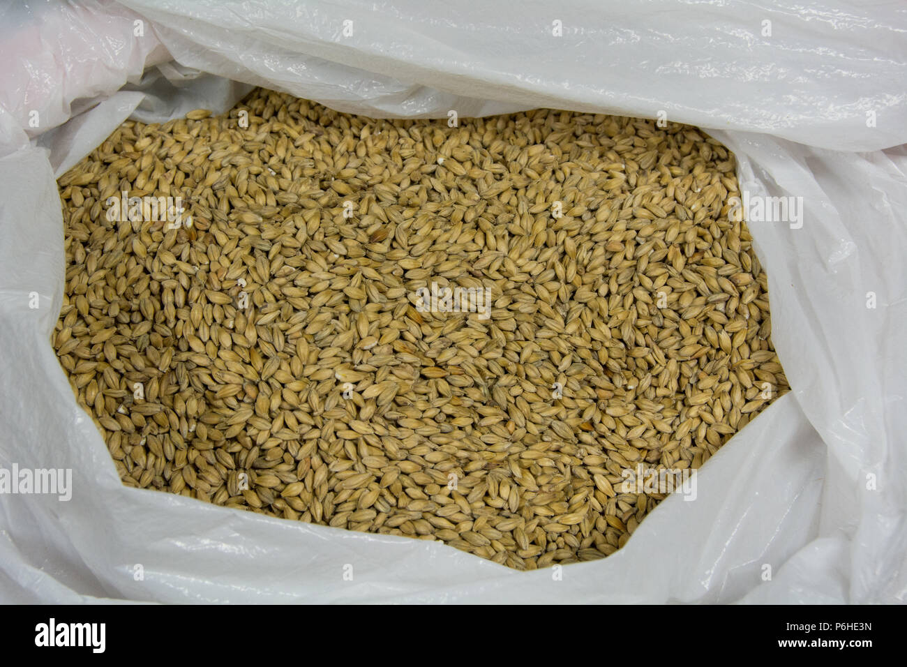 Un mix di diversi tipi di whisky di malto pronto per fresatura da home produttori di birra. Foto Stock