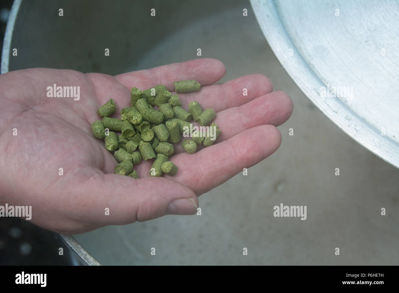 Hop pellets per essere aggiunto al mosto bollente in una casa sessione della birra Foto Stock