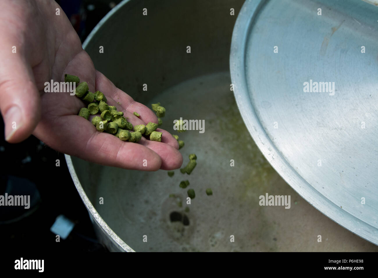 Hop pellets per essere aggiunto al mosto bollente in una casa sessione della birra Foto Stock
