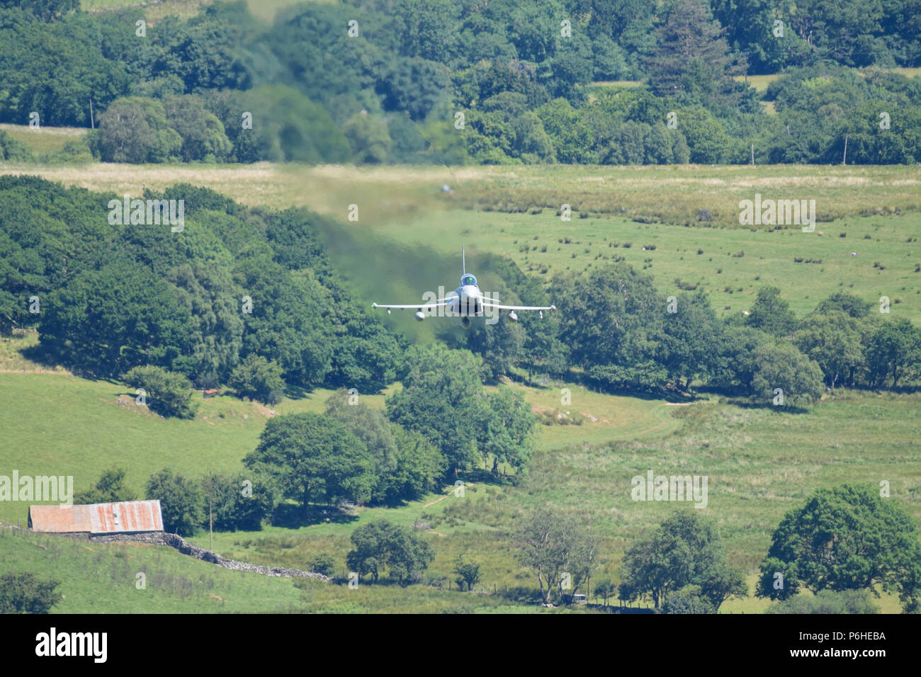 Eurofighter EFA-T.3 Typhoon Foto Stock