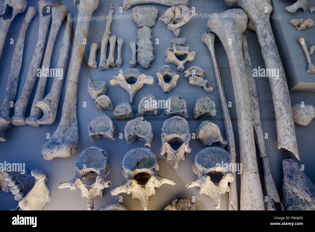 Museo arqueologico figlio Fornes, sala de época clasica, Montuiri, Comarca de Es Pla, Mallorca, Spagna. Foto Stock