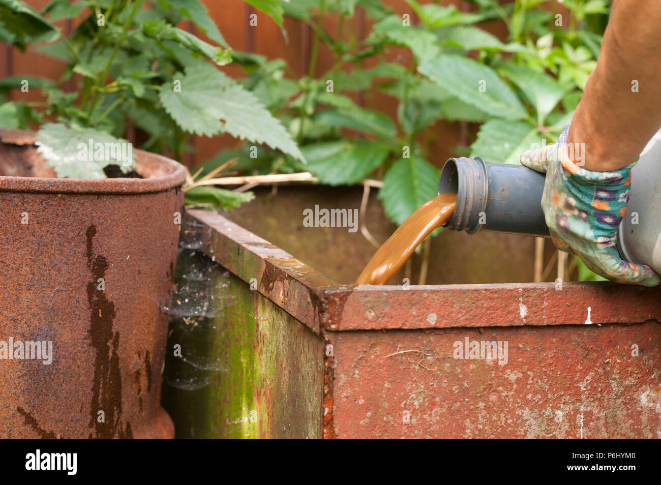 Le mani nei guanti di protezione lo svuotamento di un bio wc, outdoor closeup Foto Stock