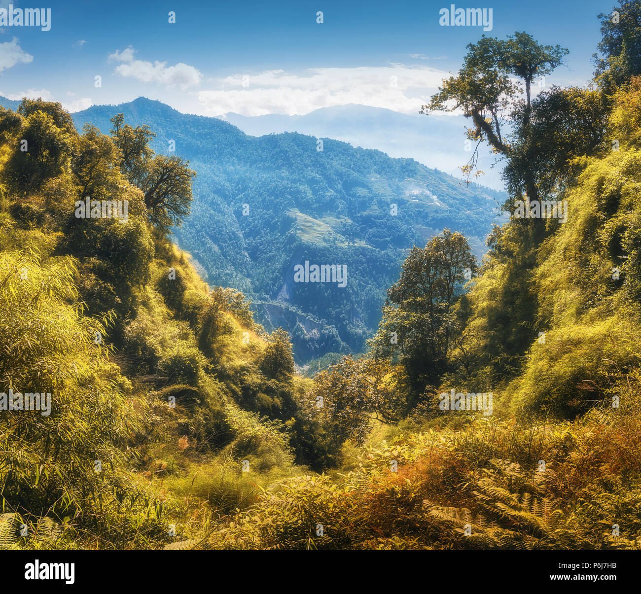 La foresta tropicale sulla montagna al tramonto in autunno. Paesaggio colorato con la giungla, montagne, foglie d'arancio, oro la luce del sole, cielo blu con nuvole. Ne Foto Stock