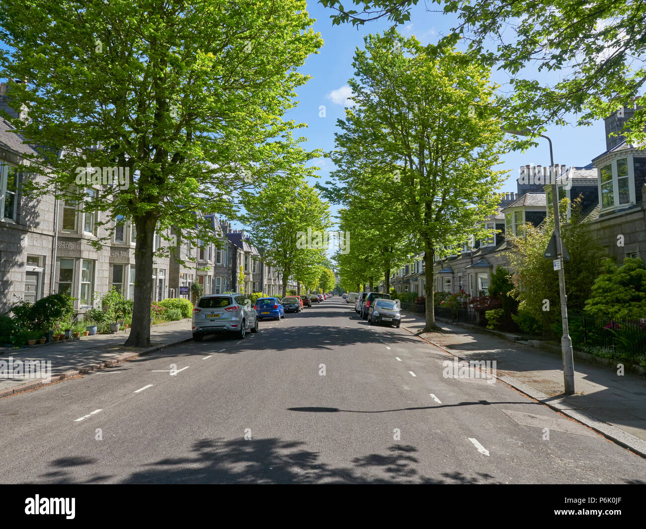 Le pavimentazioni in ombra di una città di Aberdeen strada alberata, con vetture parcheggiate fuori residenti case su una mattina d'estate. Aberdeen, Scozia. Foto Stock