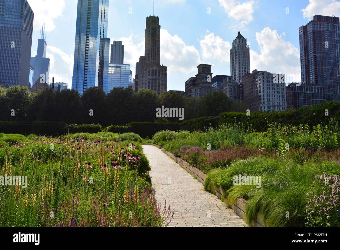 Lo skyline sorge dietro il giardino Lurie in Chicago's Millennium Park. Foto Stock