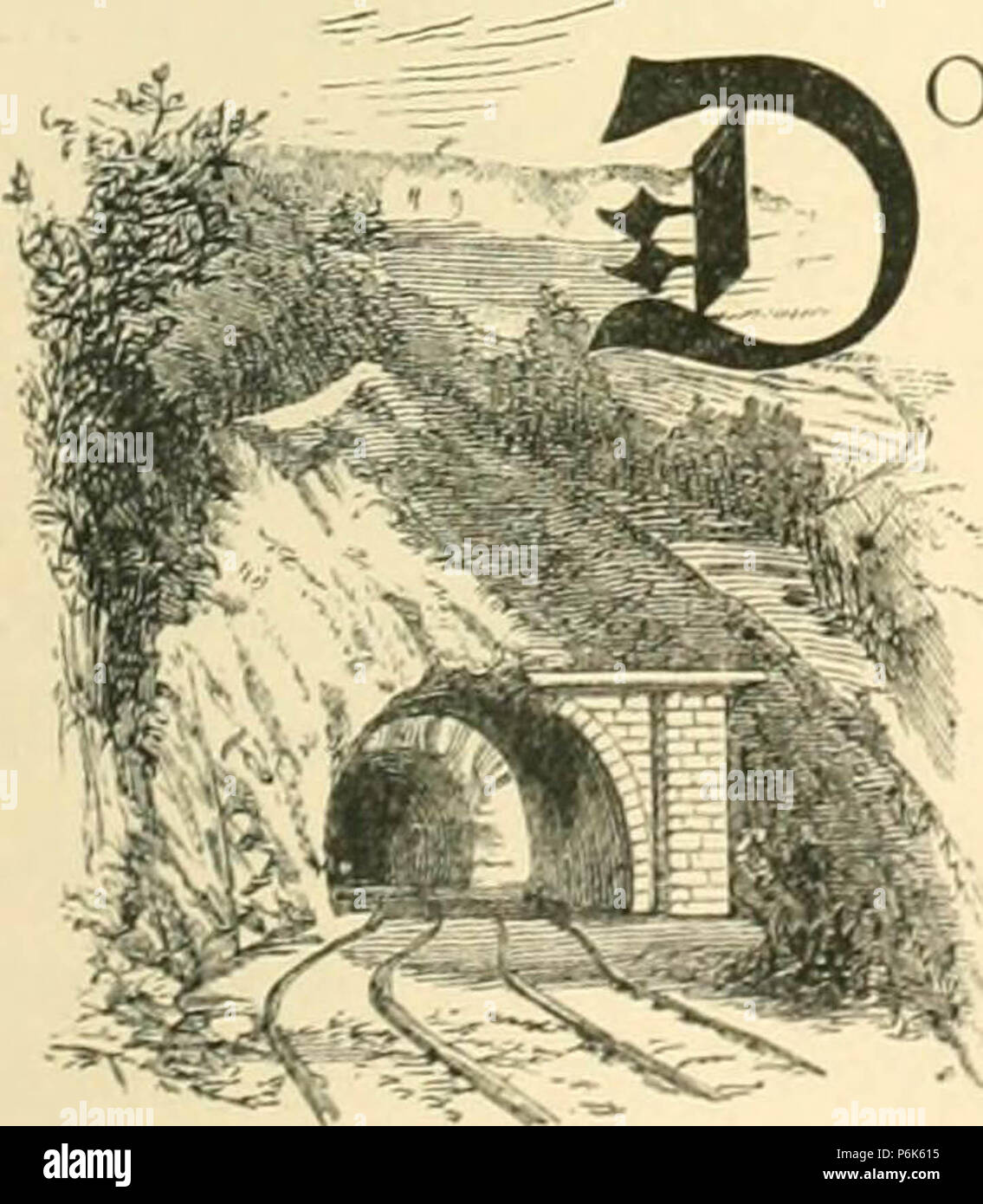 " Le nostre strade di ferro: la loro storia, di costruzione e di amministrazione" (1883) Foto Stock