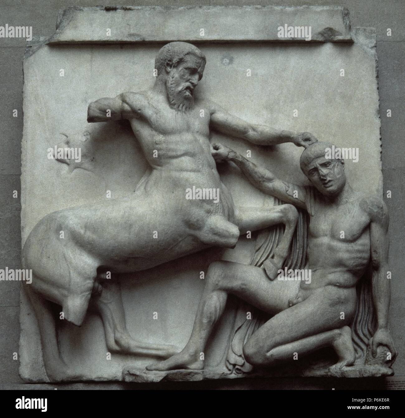 Fidia (480-430 a.C.). Metopa. Parthenon marmo raffigurante una parte del batlle tra Centauri e la Lapiths (Centauromachy). V secolo A.C. Dall' Acropoli di Atene. British Museum. Londra. Regno Unito. Foto Stock