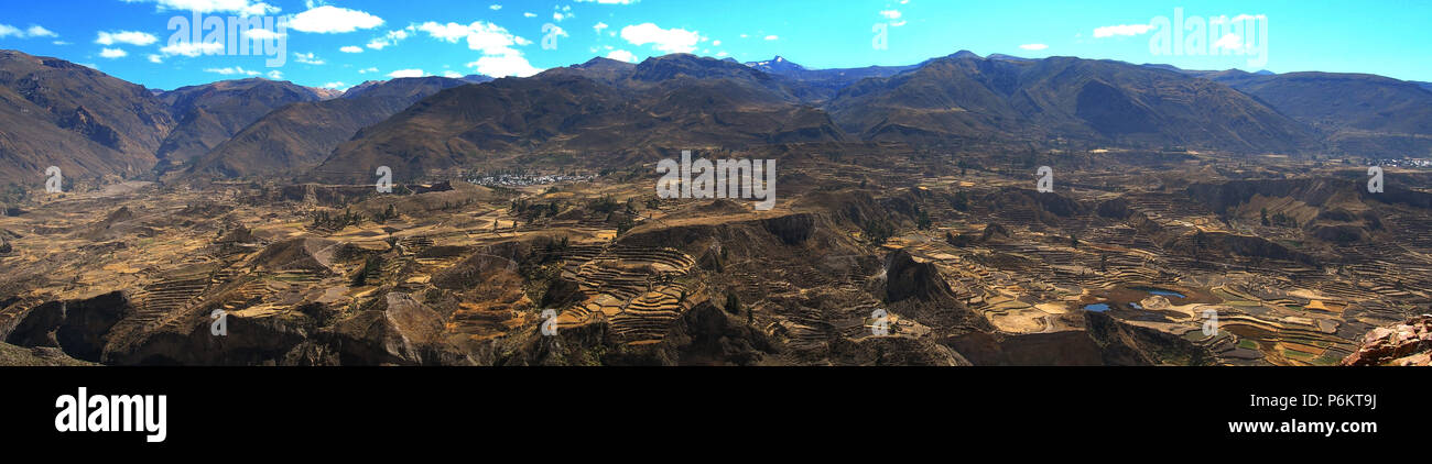 Panorama della valle del Colca terrazze Incas del Perù Foto Stock