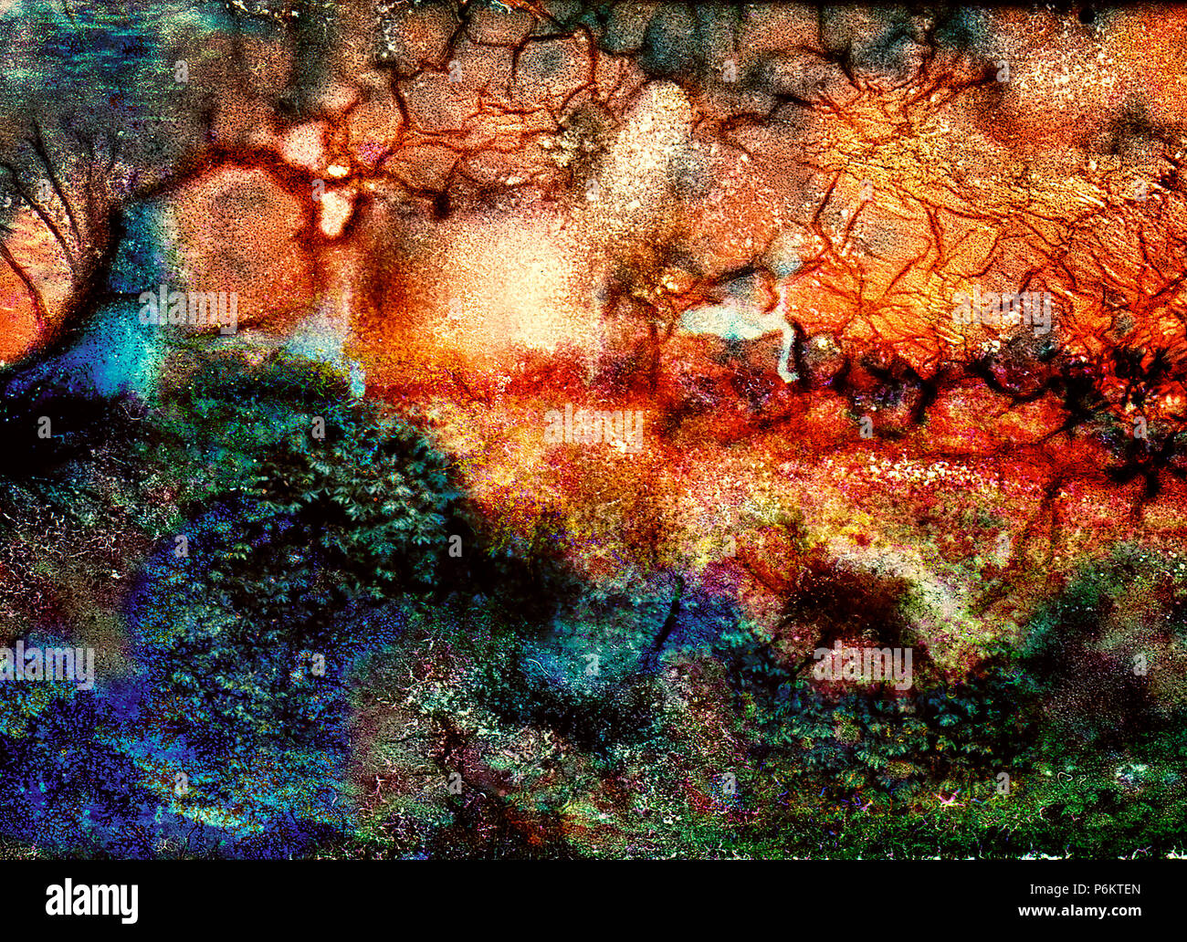 Un manipolato e croce trasformati trasparenza che mostra un piccolo cigno bianco al centro di questa illustrazione Foto Stock