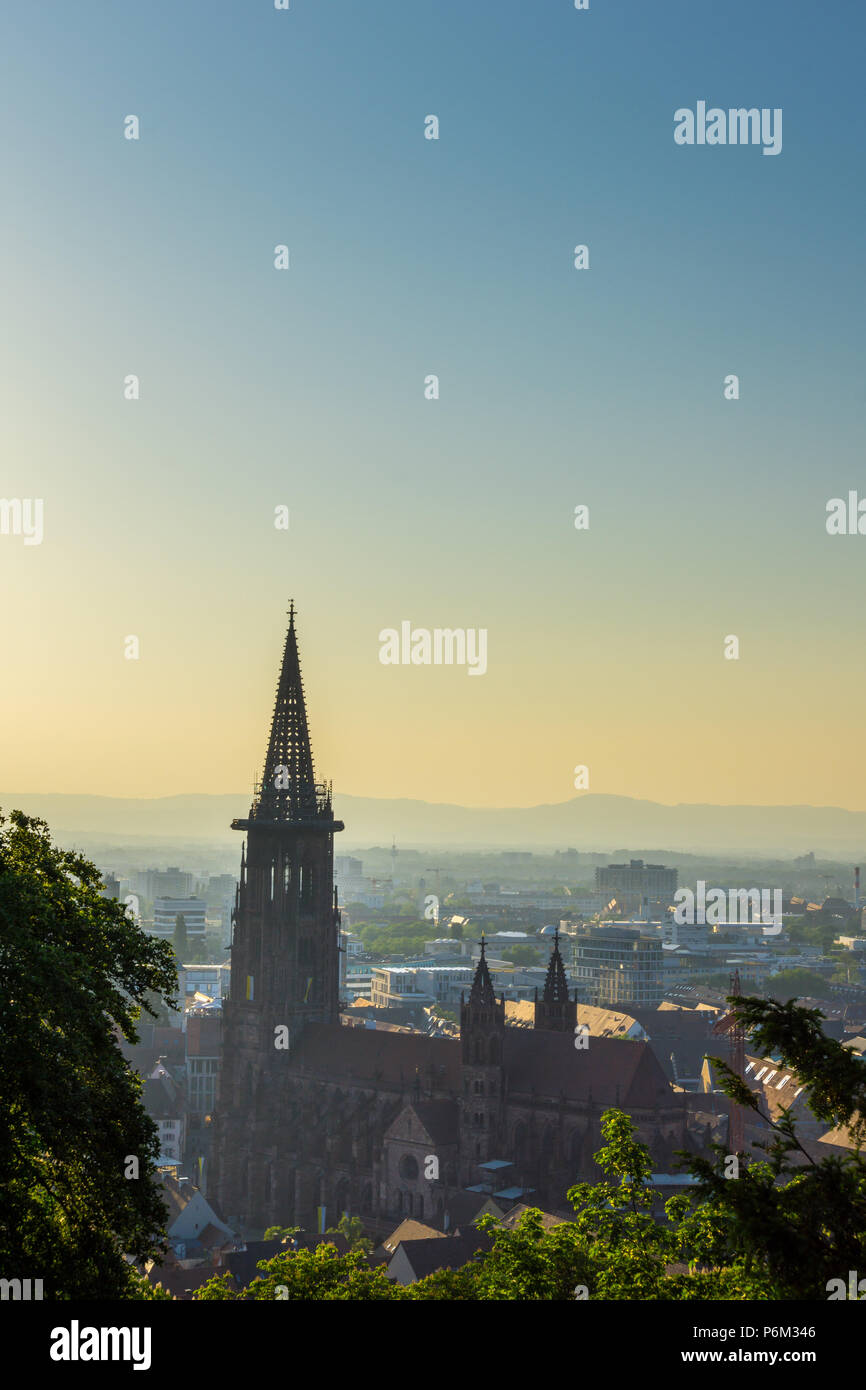 Germania, luce della sera su Minster di Freiburg im Breisgau Foto Stock