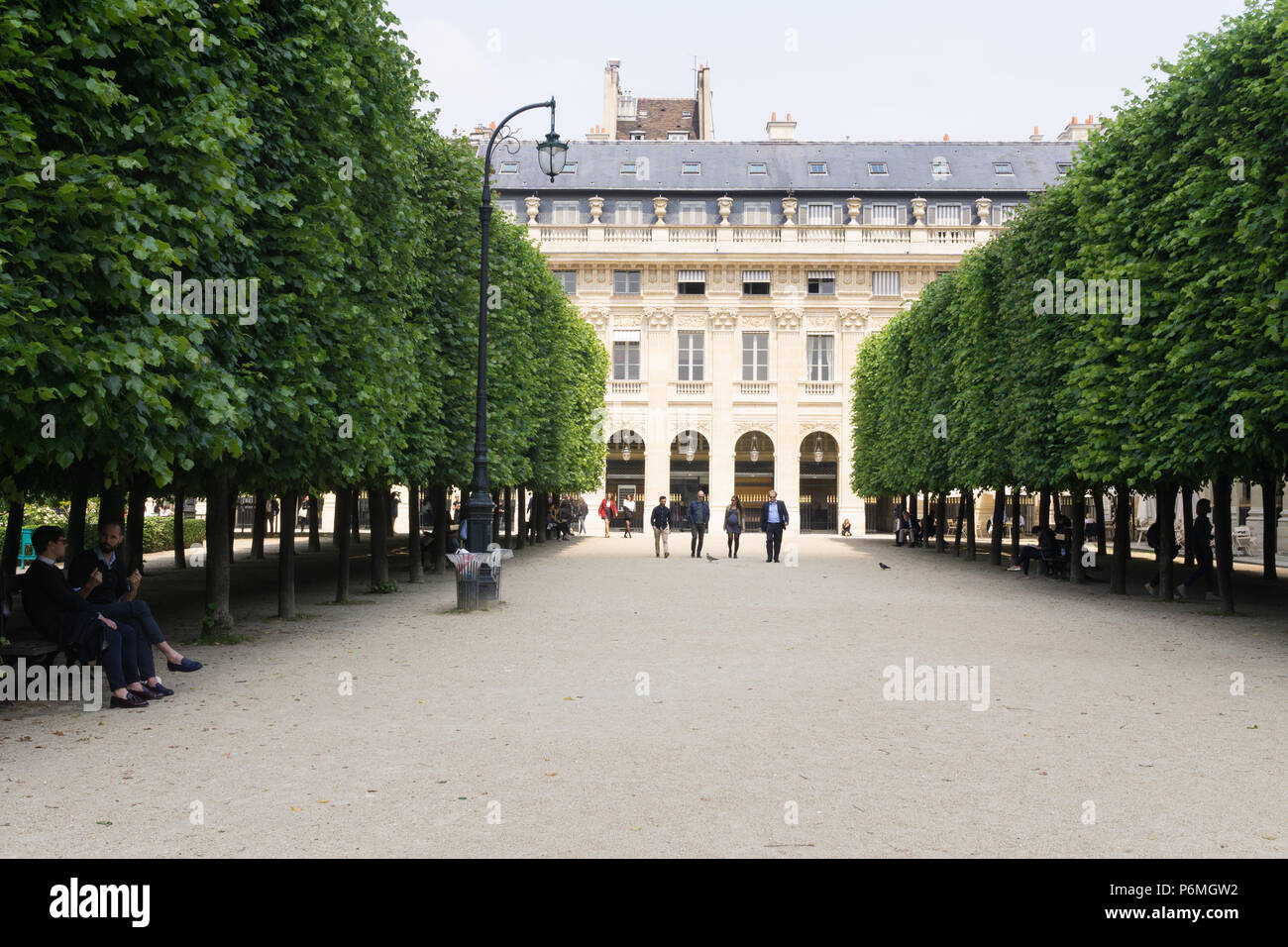 Filari di alberi nel Palais Royal Garden a Parigi, Francia. Foto Stock