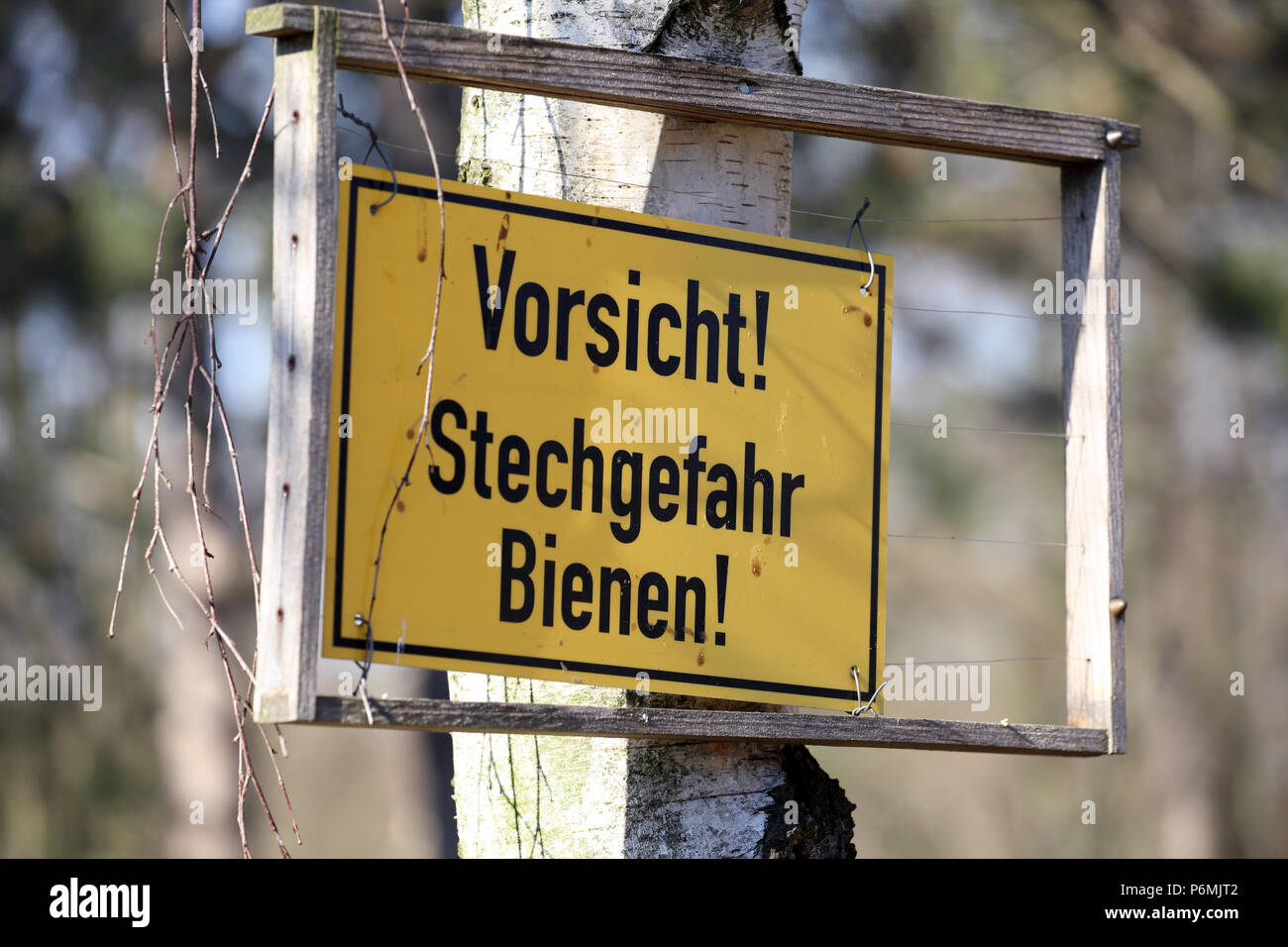 Berlino, Germania - Segnale di avviso - Attenzione, accoltellato, api - Foto Stock