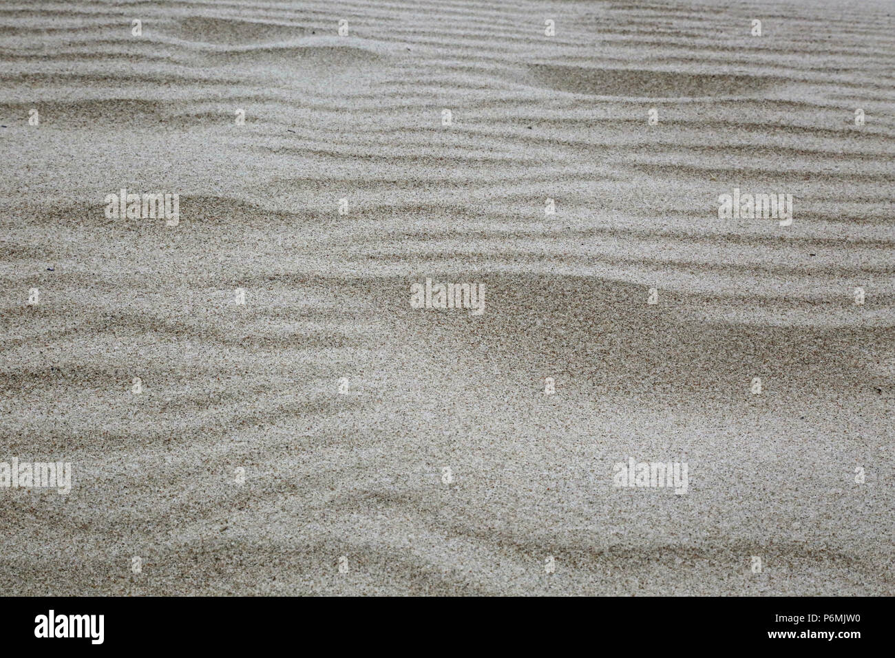 Warnemuende, modello di onda nella sabbia Foto Stock