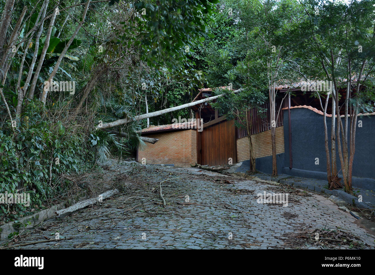 Petropolis, Rio de Janeiro, Brasile - 20 Maggio 2018: la caduta di alberi e detriti dopo una tempesta di pioggia nel quartiere di Itaipava, dove l'erosione è un grande p Foto Stock