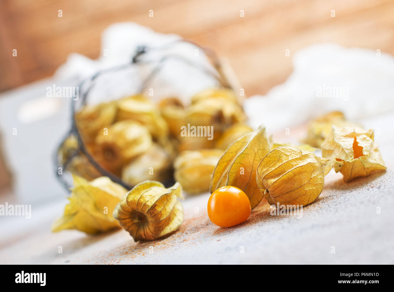 Physalis o poha bacche, semplicemente acini dorati, groundcherries, Inca peruviana berry, Cape gooseberry. Foto Stock