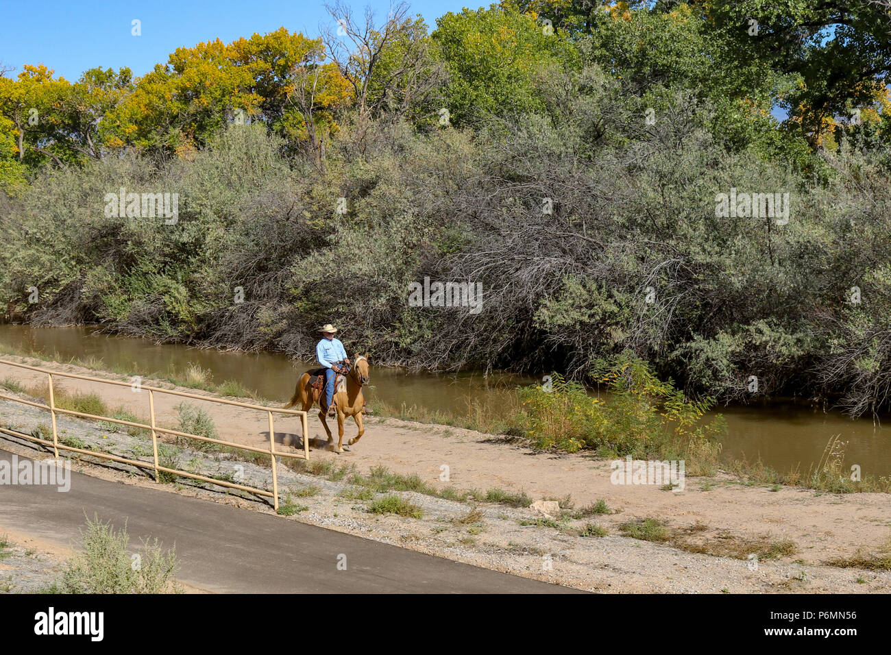 Uomo a cavallo lungo il Rio Grande del parco statale di Albuquerque nel New Mexico Foto Stock
