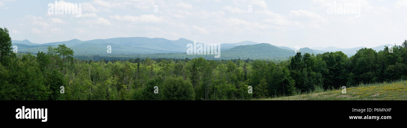 Un panorama vista del paesaggio dell'Adirondack Mountain Range a est del lago indiano, NY USA su un umido e caldo giorno d'estate. Foto Stock