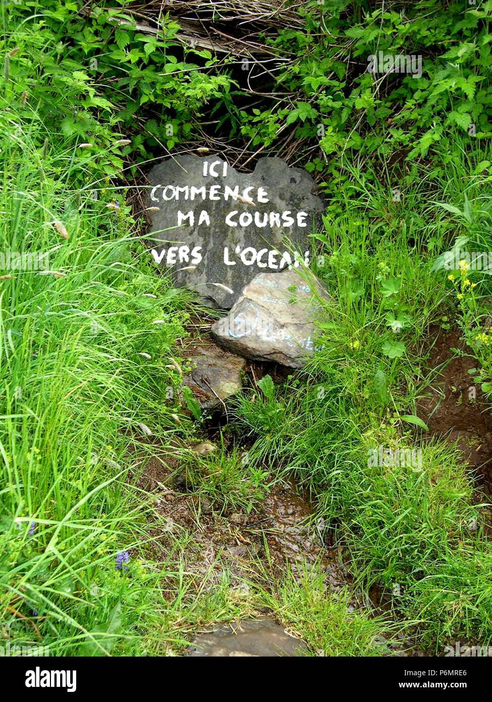 La vera sorgente del fiume Loira, a breve distanza dall'origine geografica, a pochi passi fuori la D 378. Foto Stock