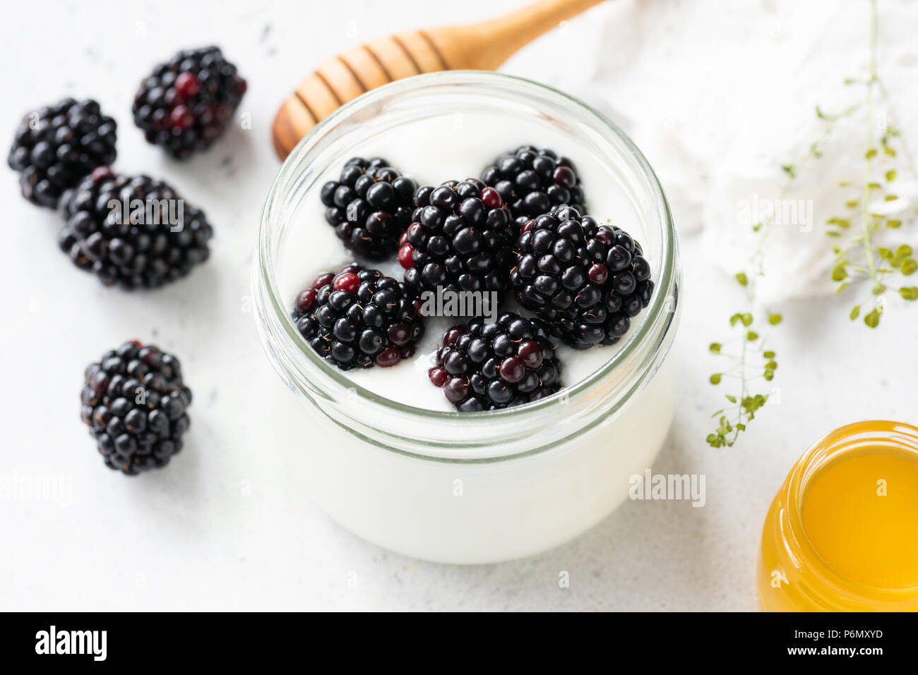 Yogurt con frutti di bosco e miele su sfondo bianco. Concetto di mangiare sano, uno stile di vita sano, dieta e cibi naturali Foto Stock