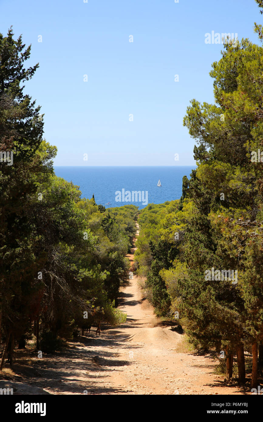 Sentiero forestale che conduce alla spiaggia di Portoselvaggio national park, Italia. Foto Stock