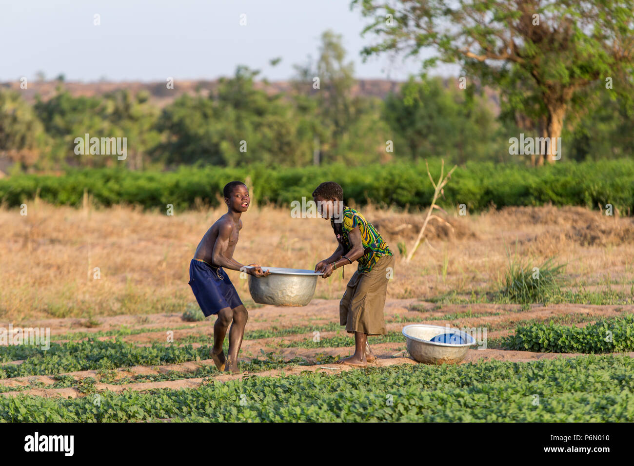 Bambini togolesi che trasportano acqua per irrigazione in Karsome, Togo. Foto Stock