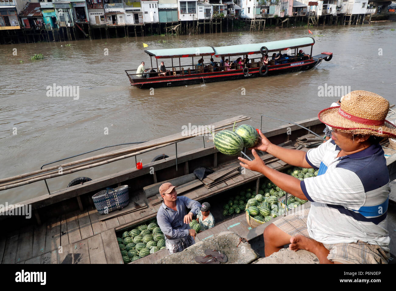 Mercato galleggiante lungo il fiume Mekong. I cocomeri. In Cai Be. Il Vietnam. Foto Stock