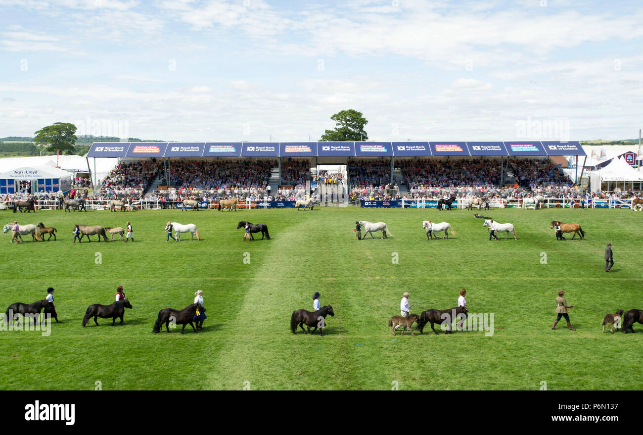 RHS 2018: cavalli sul display durante il Grand Parade presso il Royal Highland Show, Inglsiton, Edimburgo. Foto Stock