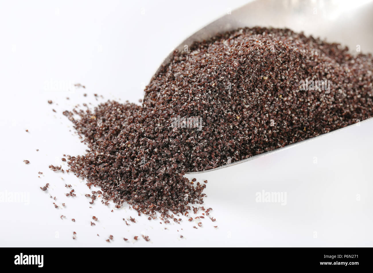 Convogliatore di macinato di semi di papavero su sfondo bianco - close up Foto Stock