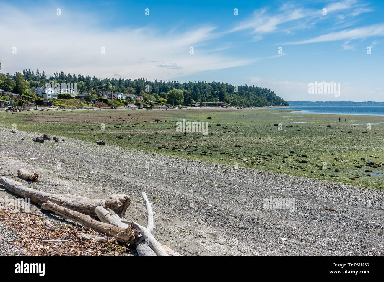 La marea è estremamente basso al parco della Normandia, Washington. Foto Stock