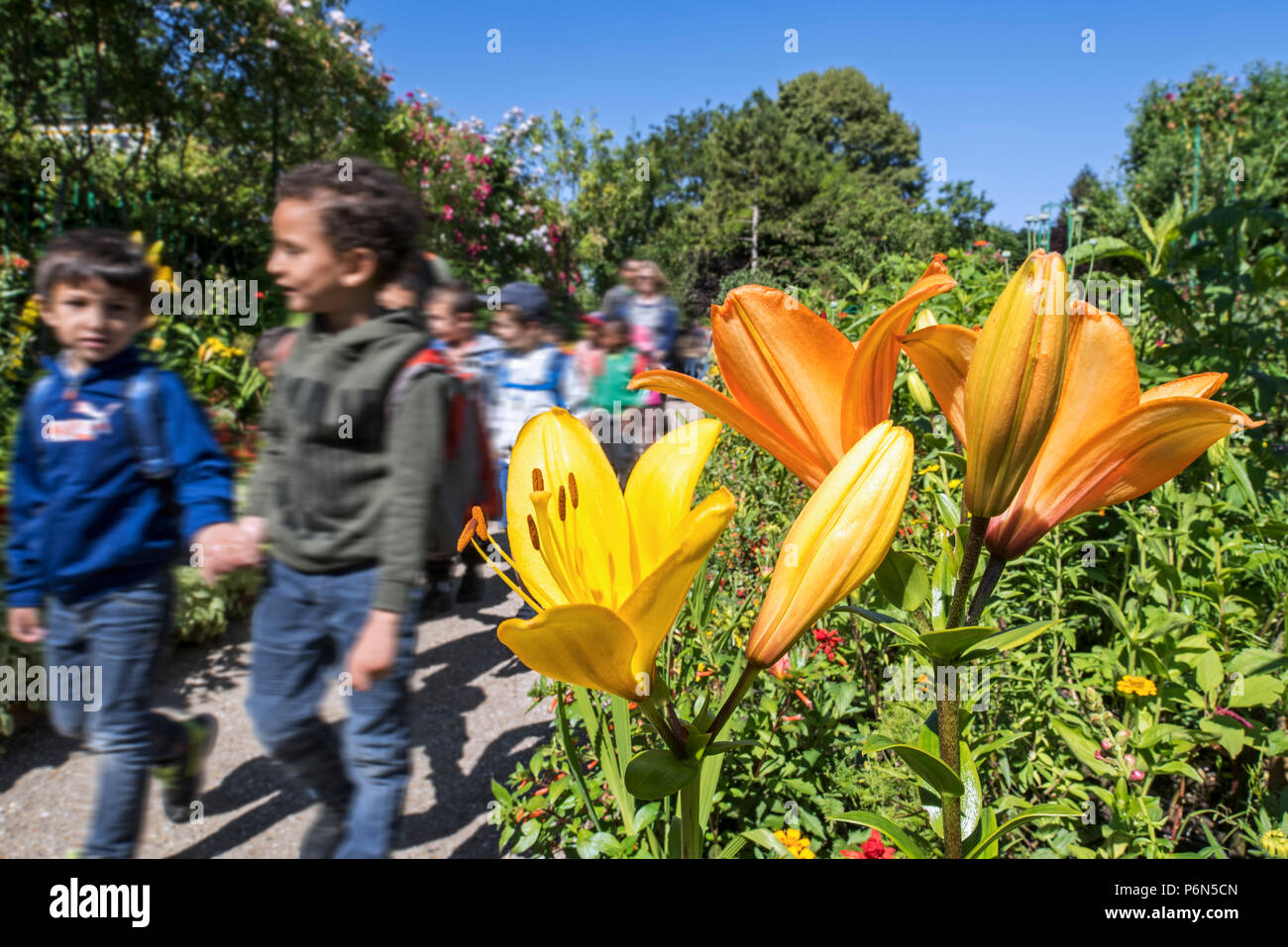 La scuola dei bambini visitando il giardino presso la casa del pittore impressionista Claude Monet a Giverny, Eure, Normandia, Francia Foto Stock