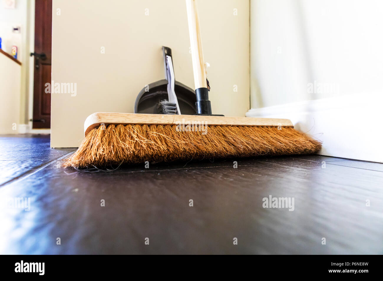 La ginestra, scopa, PENNELLI SPAZZOLA, Paletta e spazzola, paletta, scope, pavimento sweep, testa di ginestra, pulire, detergente, pavimento, pulisce, Foto Stock