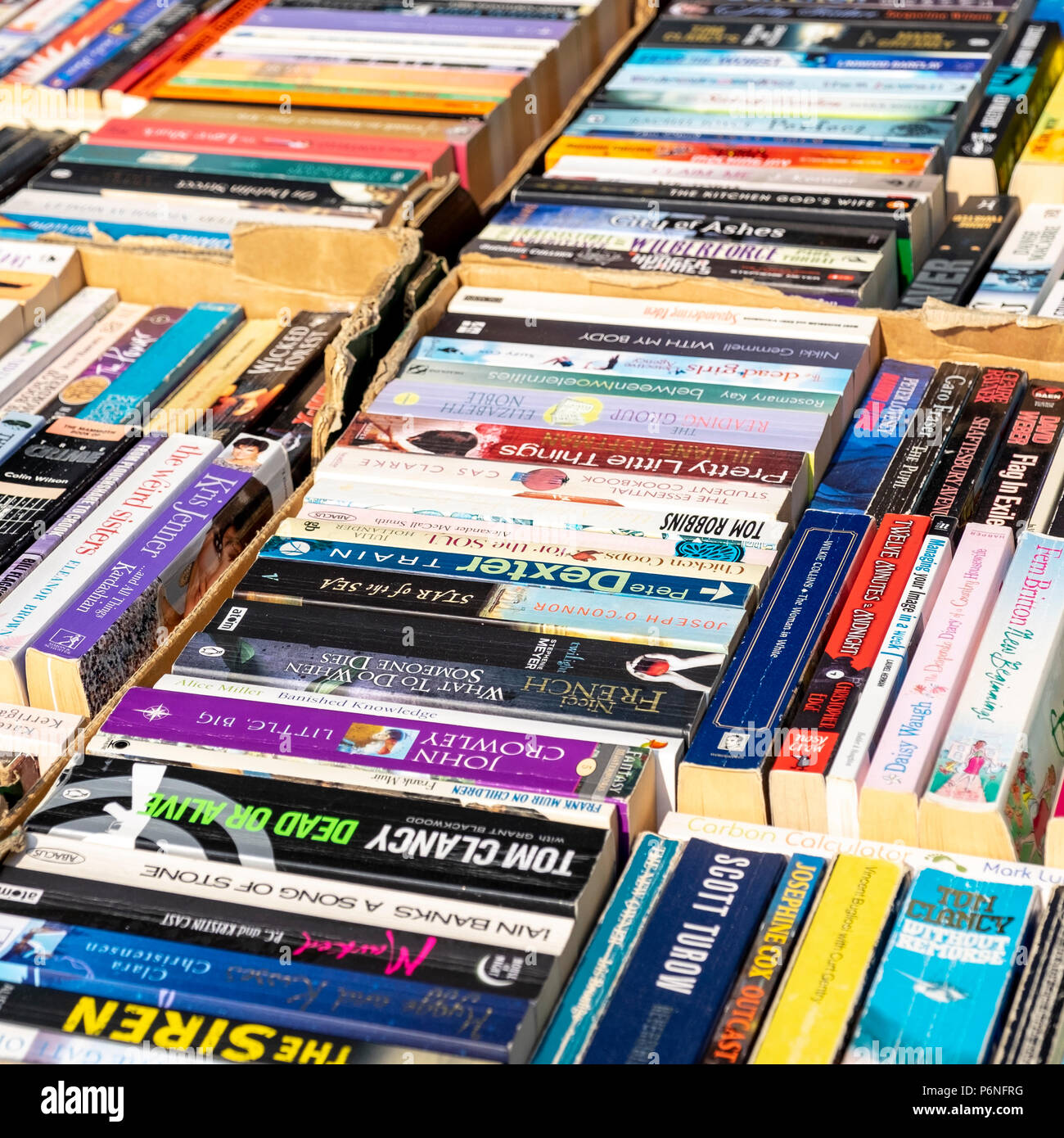 Libri tascabili Foto Stock