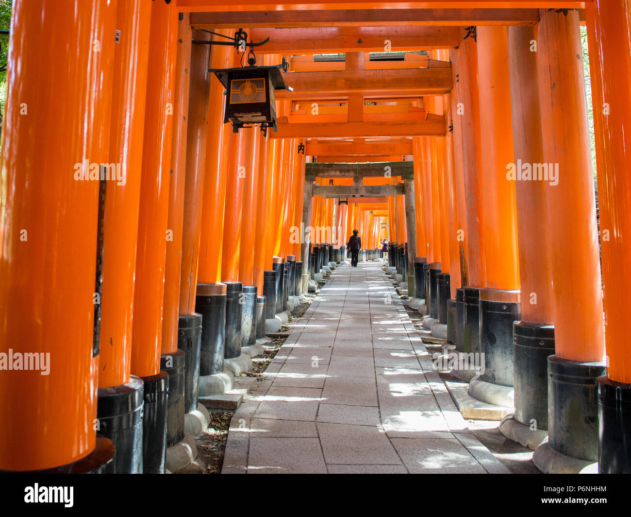 I turisti giapponesi esplorare Fushimi Inari Taisha a Kyoto, in Giappone. Lungo il percorso principale ci sono più di 10000 torii gates. Foto Stock