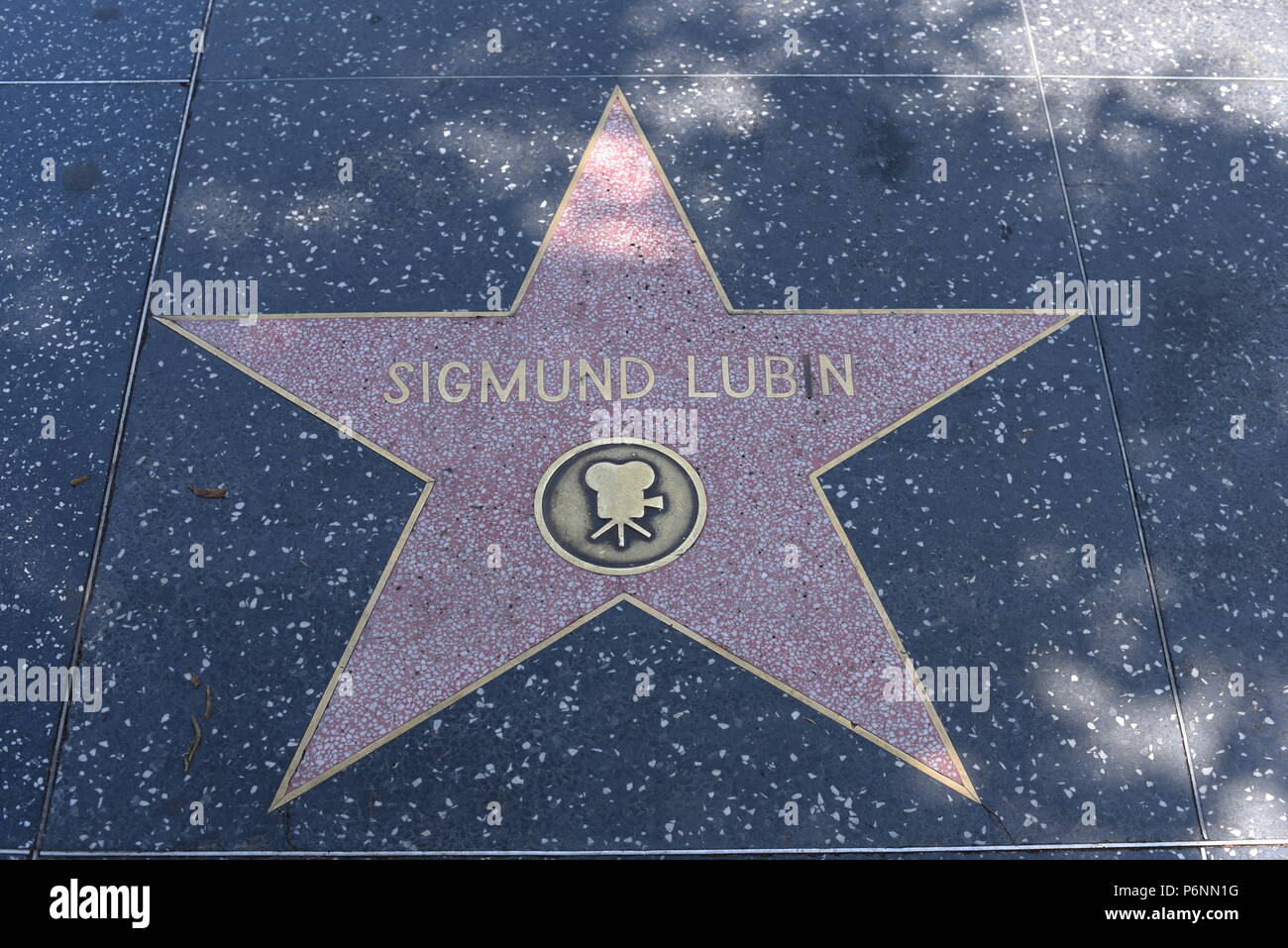 HOLLYWOOD, CA - 29 Giugno: Sigmund Lubin stella sulla Hollywood Walk of Fame in Hollywood, la California il 29 giugno 2018. Foto Stock