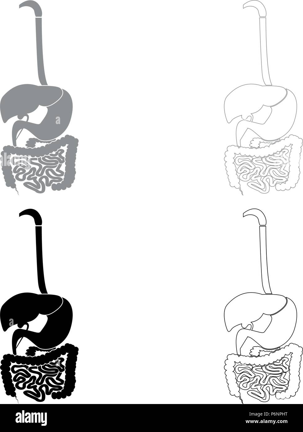 Sistema digestivo Imposta icona grigio nero i colori stile piatto semplice immagine Illustrazione Vettoriale