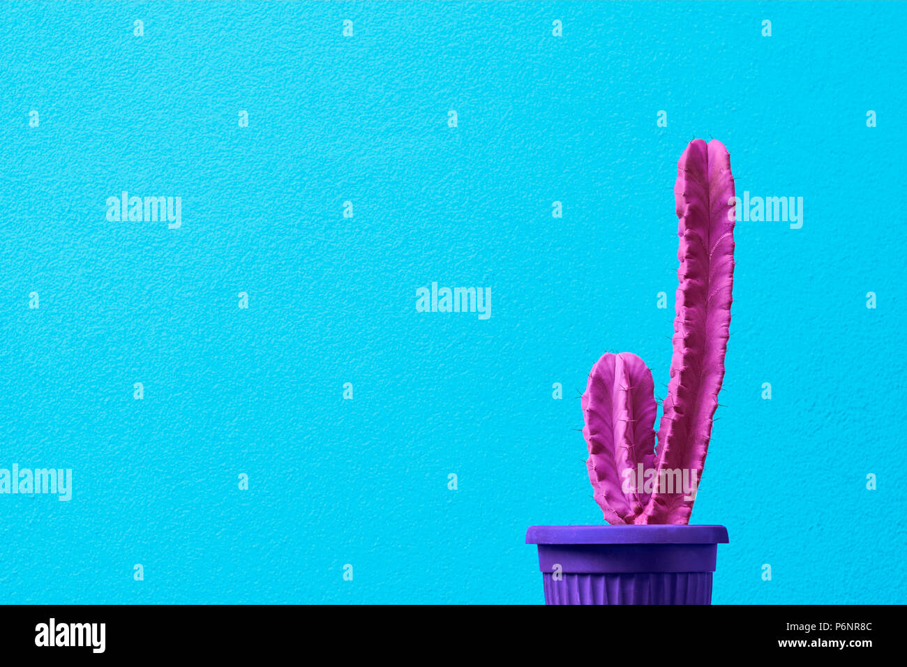 Moda rosa cactus. Concept art. Il minimo estate surrealismo. Foto Stock