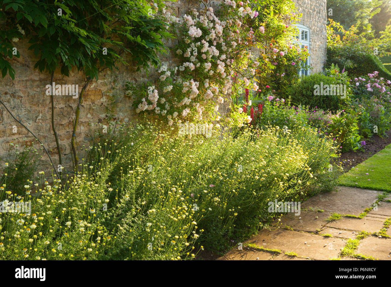 Hall Farm giardino, Harpswell, Lincolnshire, Regno Unito. Estate, Giugno 2018. Foto Stock